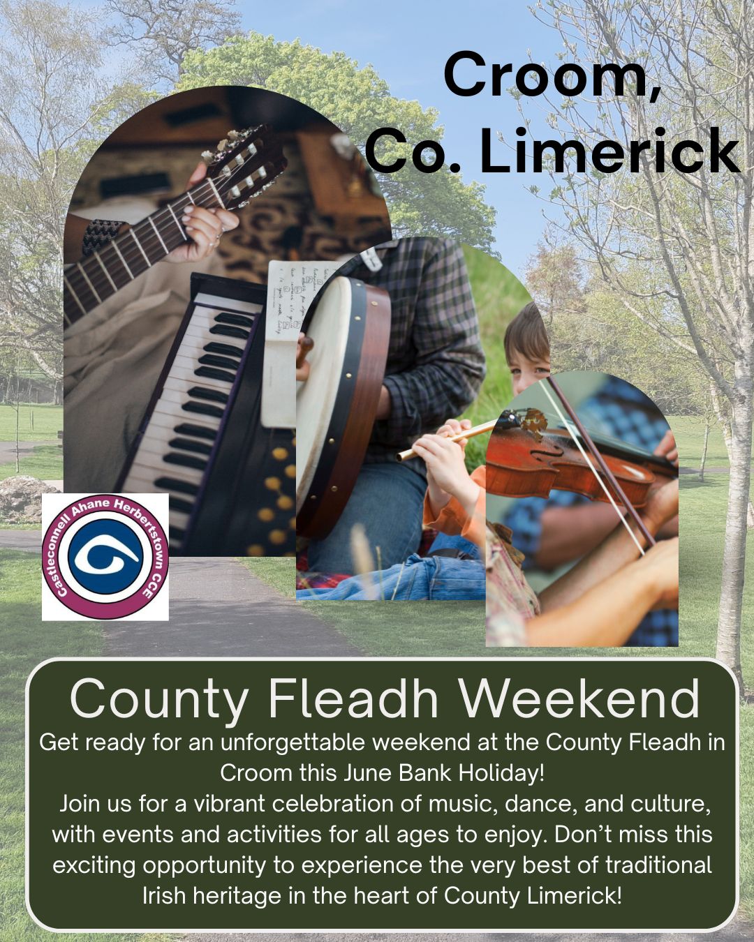 Fleadh Cheoil Luimnigh Croom 2025 
