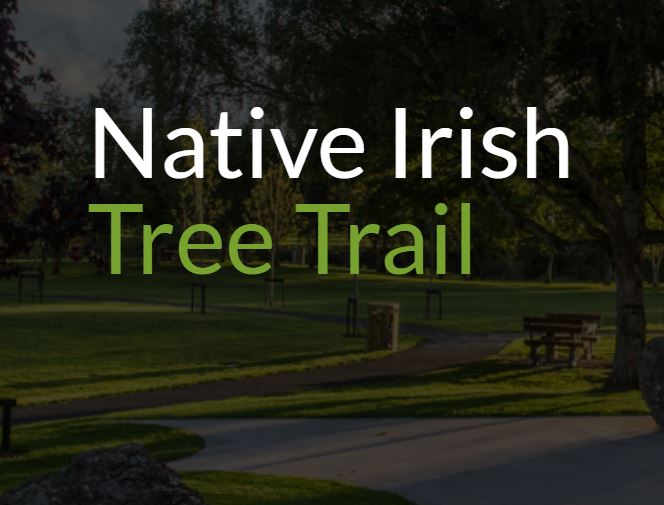 Native Irish Tree Trail Croom Town Park 