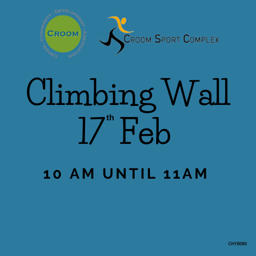 Climbing Wall 10 am to 11am 