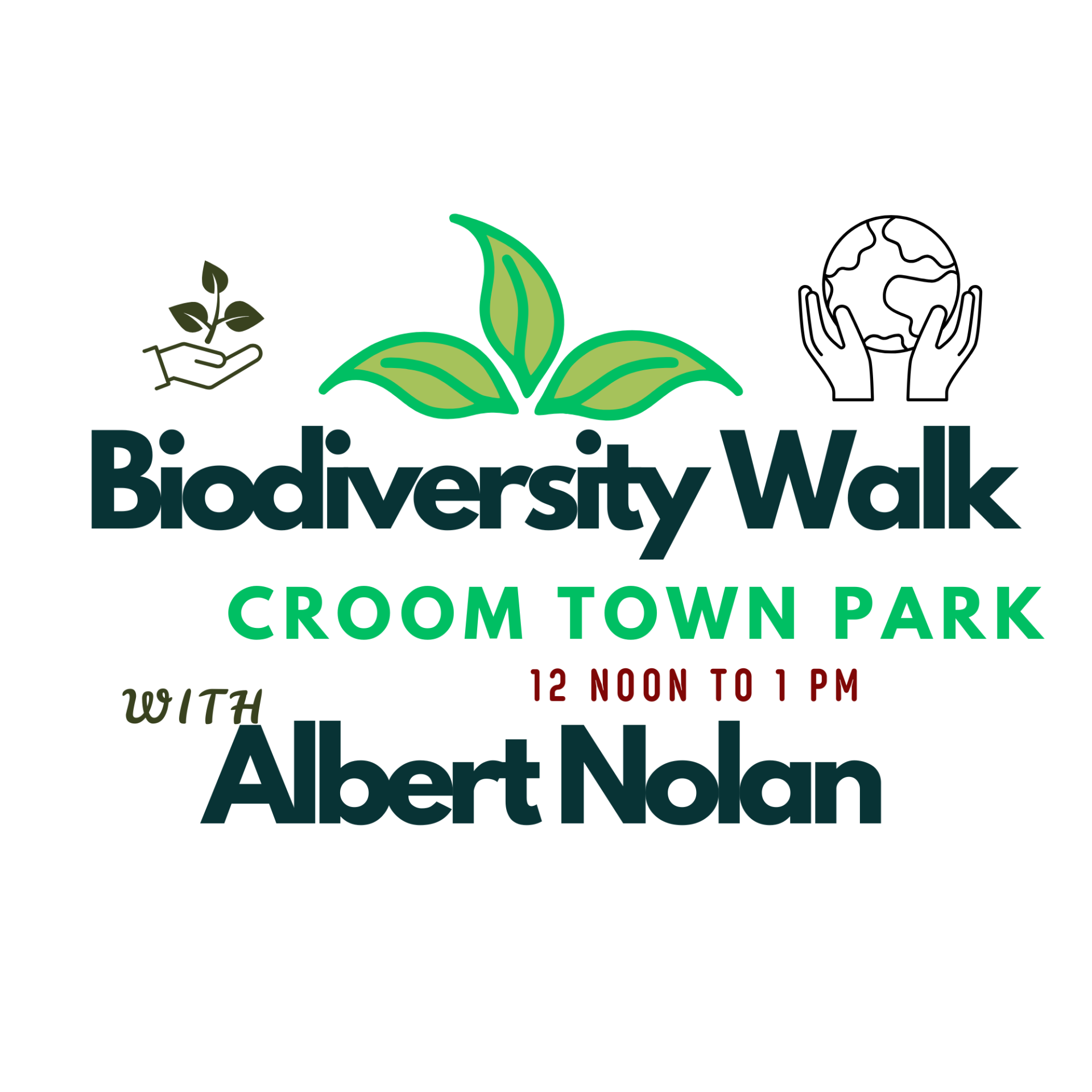 Biodiversity Walk Croom Town Park with Albert Nolan  12 noon to 1pm  All ages groups   