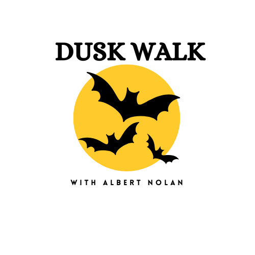 Dusk Walk with Albert Nolan 
